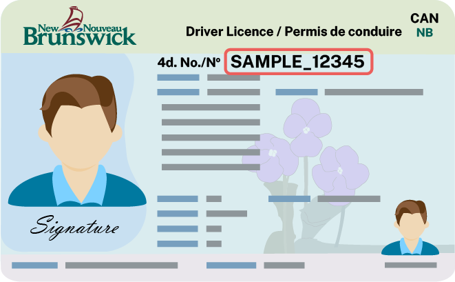 New Brunswick driver’s licence card with number highlighted
